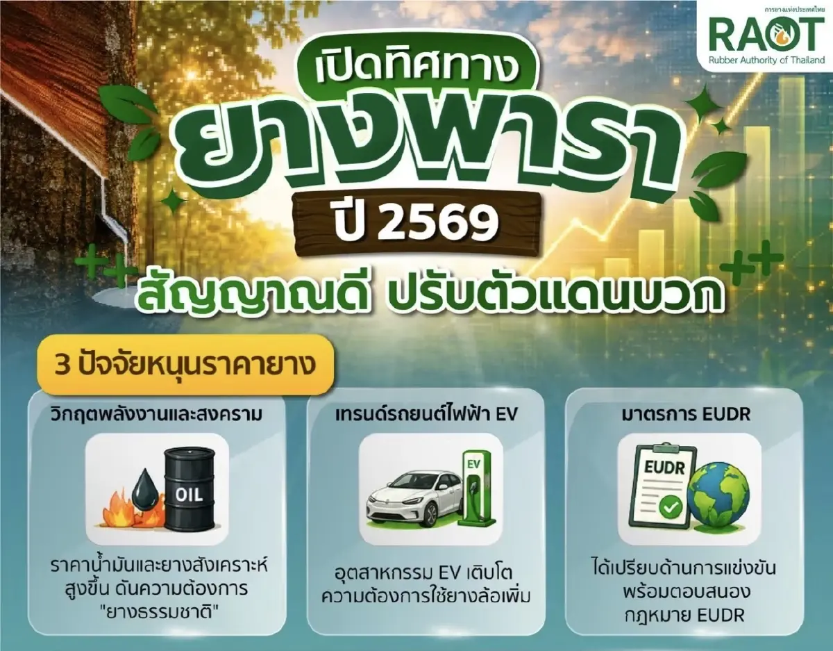 กยท. ชี้ปัจจัยเสี่ยง ส่งผลราคายางปลายปี 69-ต้นปี 67 คาด‘เอลนีโญ’ อาจเป็นสัญญาณบวก