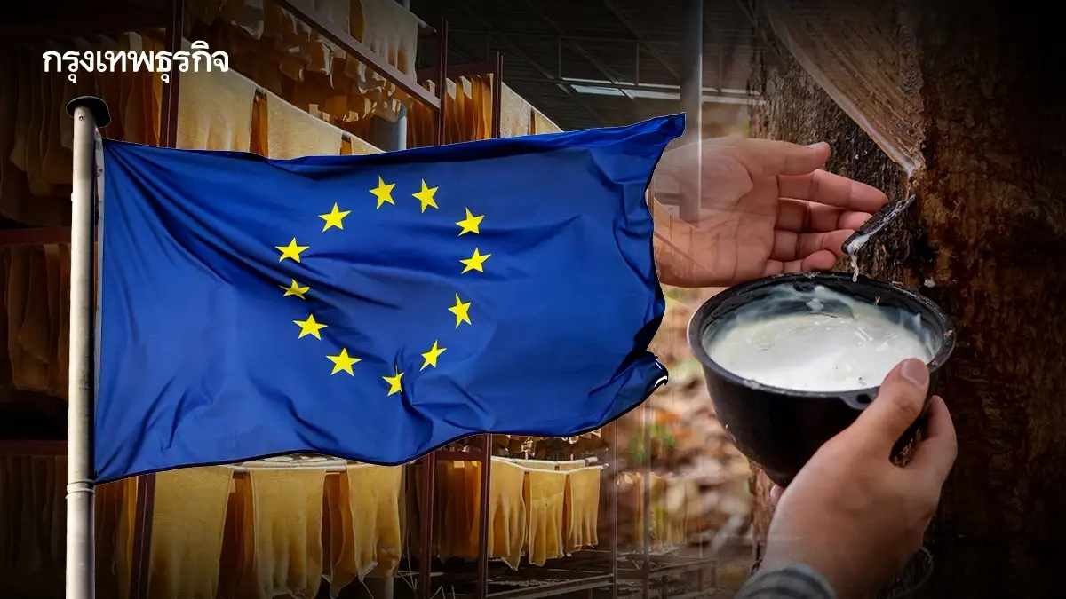 "ยางพาราไทย" คว้าแต้มต่อ "Low Risk" หนุนส่งออกลุยตลาด EU ท่ามกลางกฎเหล็ก EUDR